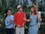 Gilligan's Island Season 3 Tv Show Eastern North Carolina No